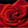 Susan K. Ortlieb Susan K. Ortlieb's profile photo