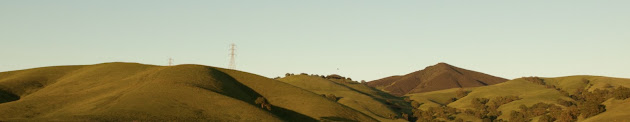 Cover photo