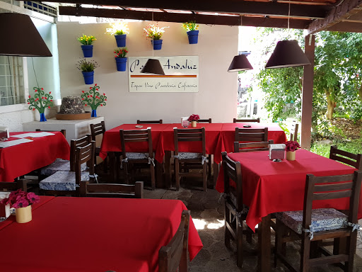 Patio Andaluz, Sin nombre No. 93 74, Lomas de Cocoyoc, Oaxtepec, Mor., México, Restaurante andaluz | MOR