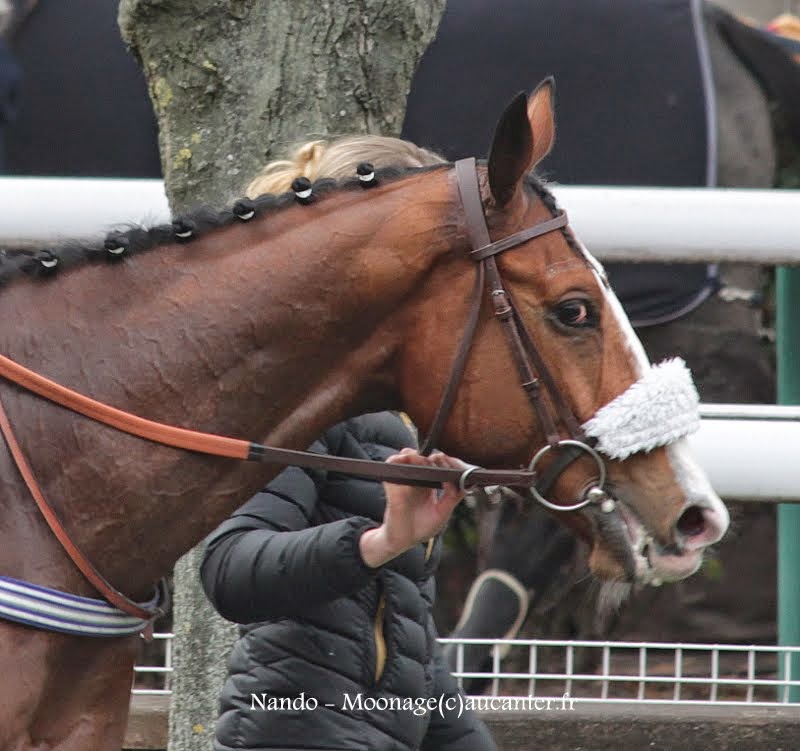 Photos Auteuil 1-03-2015 IMG_7147