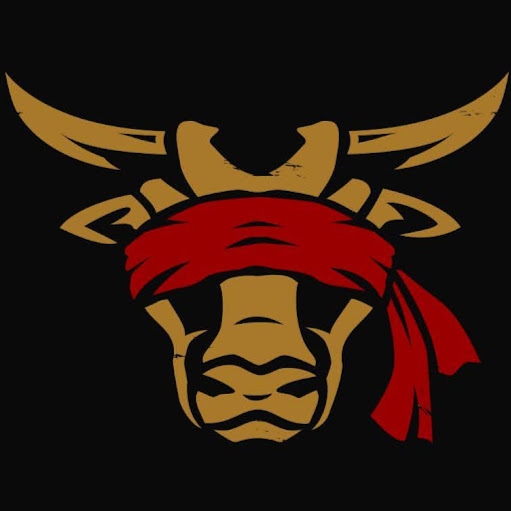 Blind Ox logo