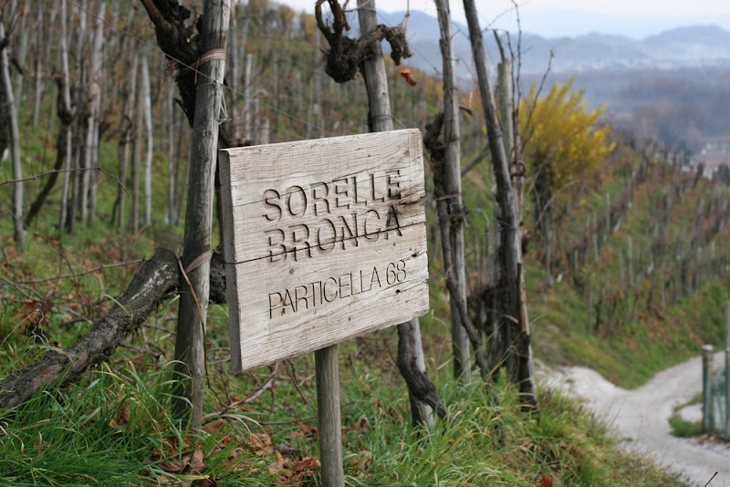 Main image of Sorelle Bronca