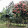 Vanilda N. Solecki Vanilda N. Solecki's profile photo