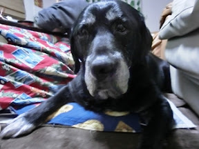 �����u�Ɨ����ĊJ���܂�