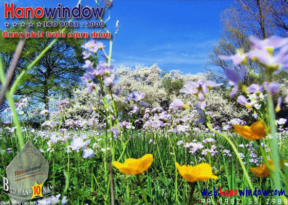 Hanowindow Group, Hanogroup, Hanowindow uPVC, Cửa sổ nhựa Hà Nội, Cửa nhựa Hà Nội, cửa uPVC, cửa sổ nhựa, cua, cửa, cửa đi 4 cánh, lõi thép, cua nhua, cua uPVC, kính temper, kính hộp, kính an toàn, cầu thang kính, cửa tự động, cửa chống cháy, 0982 88 1080, 0982 33 8989, 0982 55 2989, 0989 55 2989