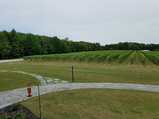 Vineyard «Laurentia Vineyard & Winery», reviews and photos, 4599 S Madison Rd, Madison, OH 44057, USA
