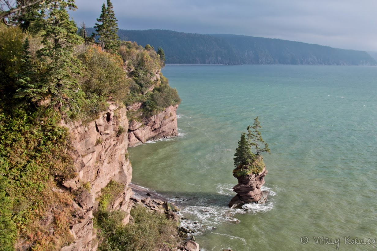Flower Pot Rock, Fundy Trail Flower Pot Rock, Fundy Trail