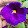 Lester Daniels Lester Daniels's profile photo