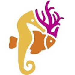 Coral Dreams GmbH logo