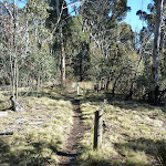 Posts beside track in Kosciuszko National Park (297260)