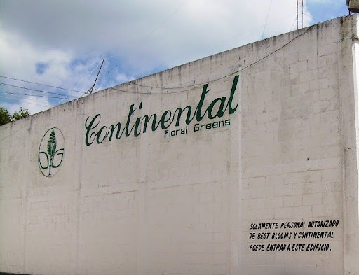 Continental Floral Greens S de RL de CV, La cuadrilla SN, Ojo de Agua, 51760 Buenavista, Méx., México, Floristería mayorista | EDOMEX