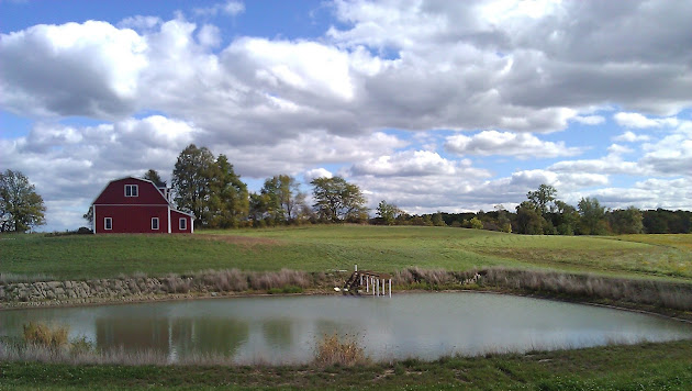 Cover photo