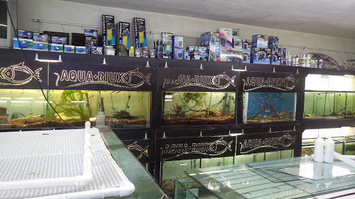 Aqua-riux, Av. Central 825, Chapultepec, 66450 San Nicolás de los Garza, N.L., México, Aquarium | NL