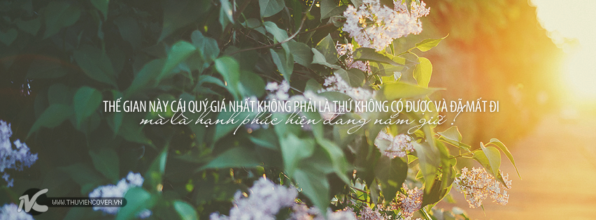Ảnh bìa đẹp nói về Hạnh Phúc trong tình yêu Ảnh bìa hạnh phúc