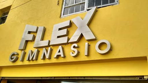 Flex Gimnasio, Av 27 de Septiembre 222, Obregon, 37320 León, Gto., México, Programa de acondicionamiento físico | GTO