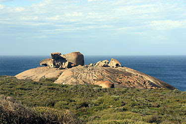 AUSTRALIA: EL OTRO LADO DEL MUNDO - Blogs de Australia - Kangaroo Island: naturaleza en estado puro (14)