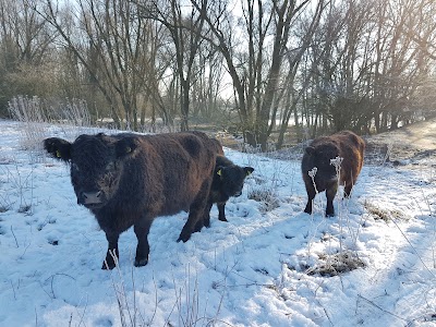 Photos of Blauwe Kamer