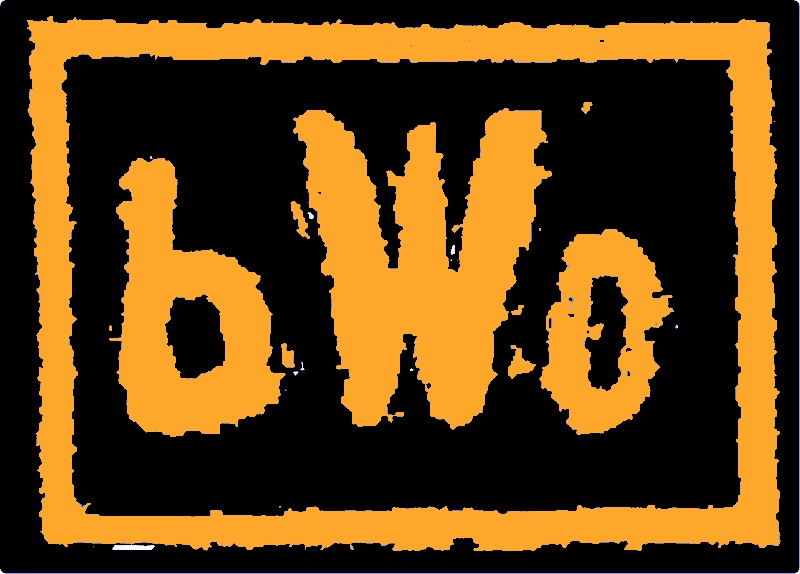 bWo: Bruins World Order