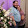 Jessica Sappington Jessica Sappington's profile photo