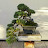 Nick Stommel avatar image