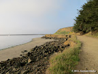 Short trail leading to Pillar Point