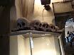 DSC01901.JPG