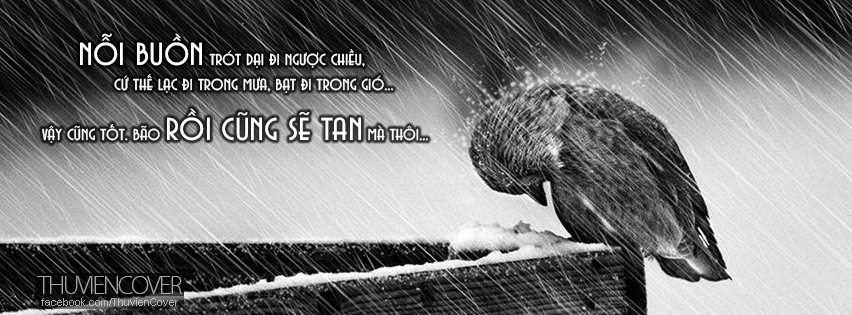 Ảnh bìa chủ đề Mưa cho Facebook - Lãng mạn & Đẹp Ảnh bìa mưa