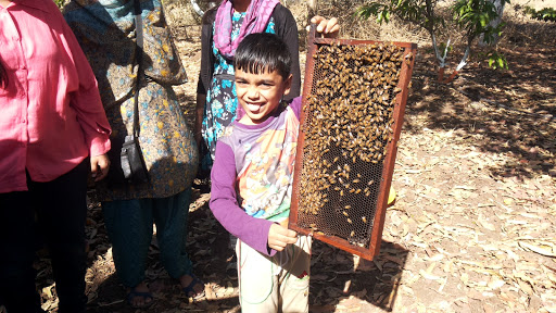 Honey Bee Care Cluster, 10, MIDC to Mehrun Rd, Ramnagar, MIDC to Mehrun Rd, Ramnagar, Mehrun, Jalgaon, Maharashtra 425003, India, Honey_Producer, state MH