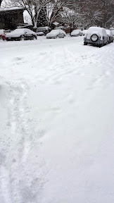 Snowpacalypse PDX in February 2014