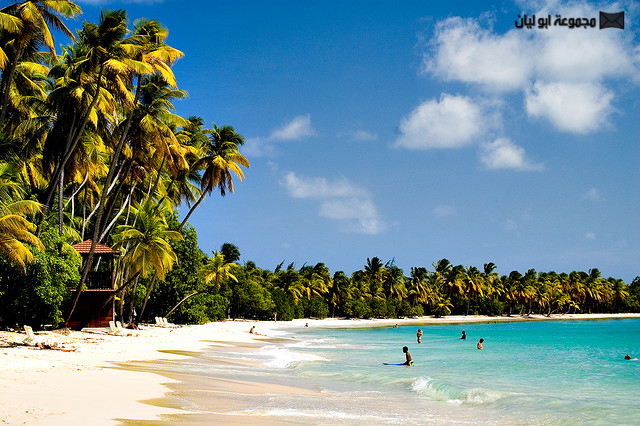 أجمل شواطئ الكاريبي  E%2520%25284%2529