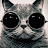 Pero Popovic avatar image