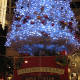 IMG_3045.jpg
