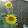 Mandy Hoskin Mandy Hoskin's profile photo