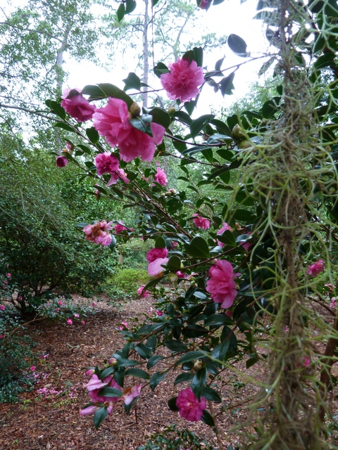 PGPhoto.jpg