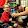 Shane Carwin Shane Carwin's profile photo