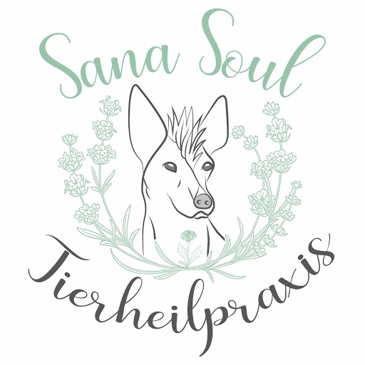 Tierheilpraxis Sana Soul logo