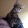 Glenn Matthew Hill Glenn Matthew Hill's profile photo