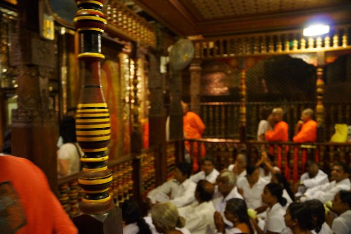 Шри-Ланка: на машине 1 100 км,  фото без комментариев, март-апрель 2013г.