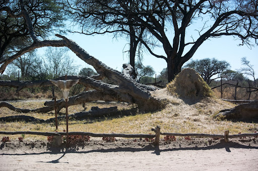 Parc national Hwange