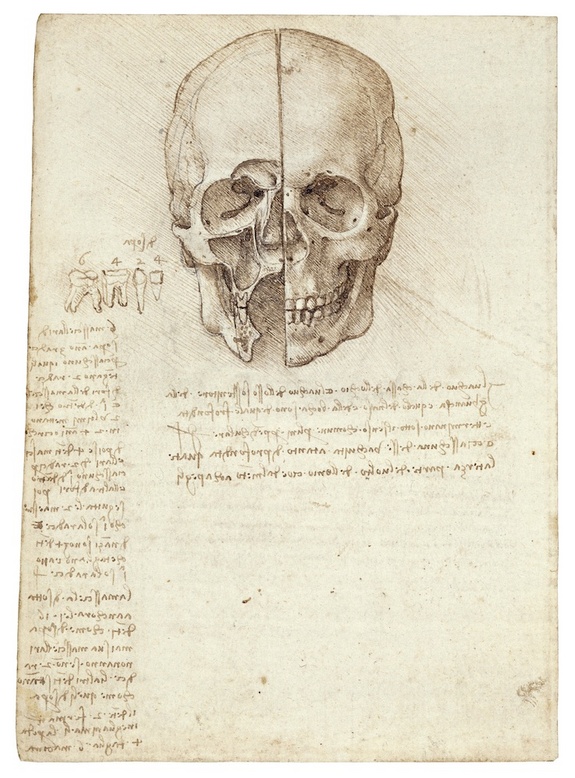 skull Lukisan Leonardo Da Vinci tentang anatomi manusia