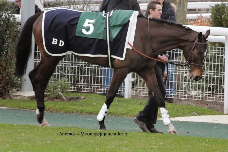 Photos Auteuil 1-03-2015 IMG_7106