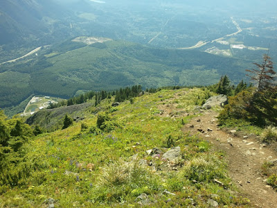 The trail down from the summit