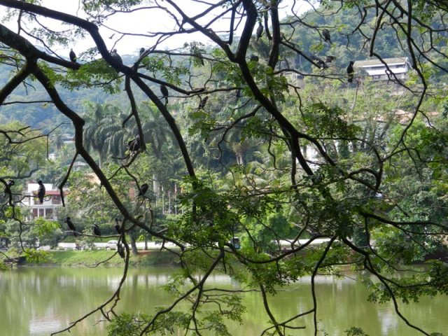 Ланка +Мальдивы по-нашему