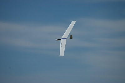 DSC_8727.JPG