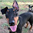 Ellen Nathan avatar image