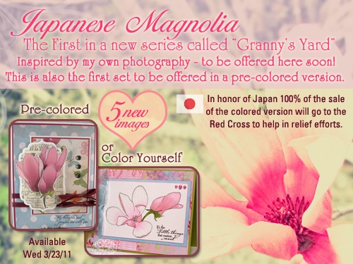 japanese magnolia tree pictures. japanese magnolia tree