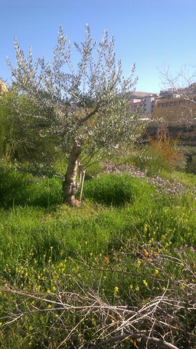 Photos of Cleopetra Hotel