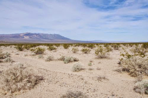 California Desert Policy Makeover Nears Release