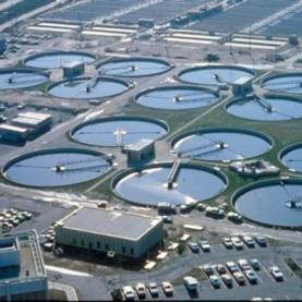 Michigan scientist turns poo into energy