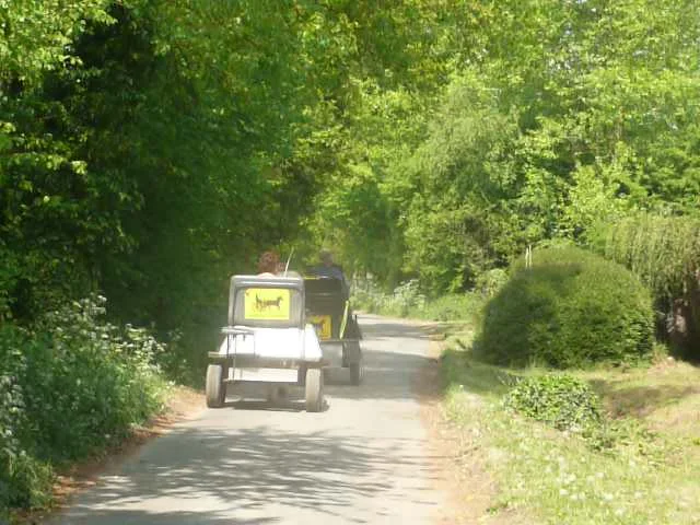 Pony and trap near Tuddenham St Martin